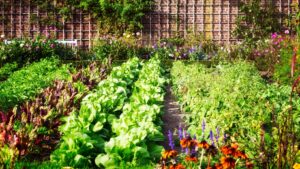 How Garden Centers Can Use Free AI Voice to Educate Customers Online